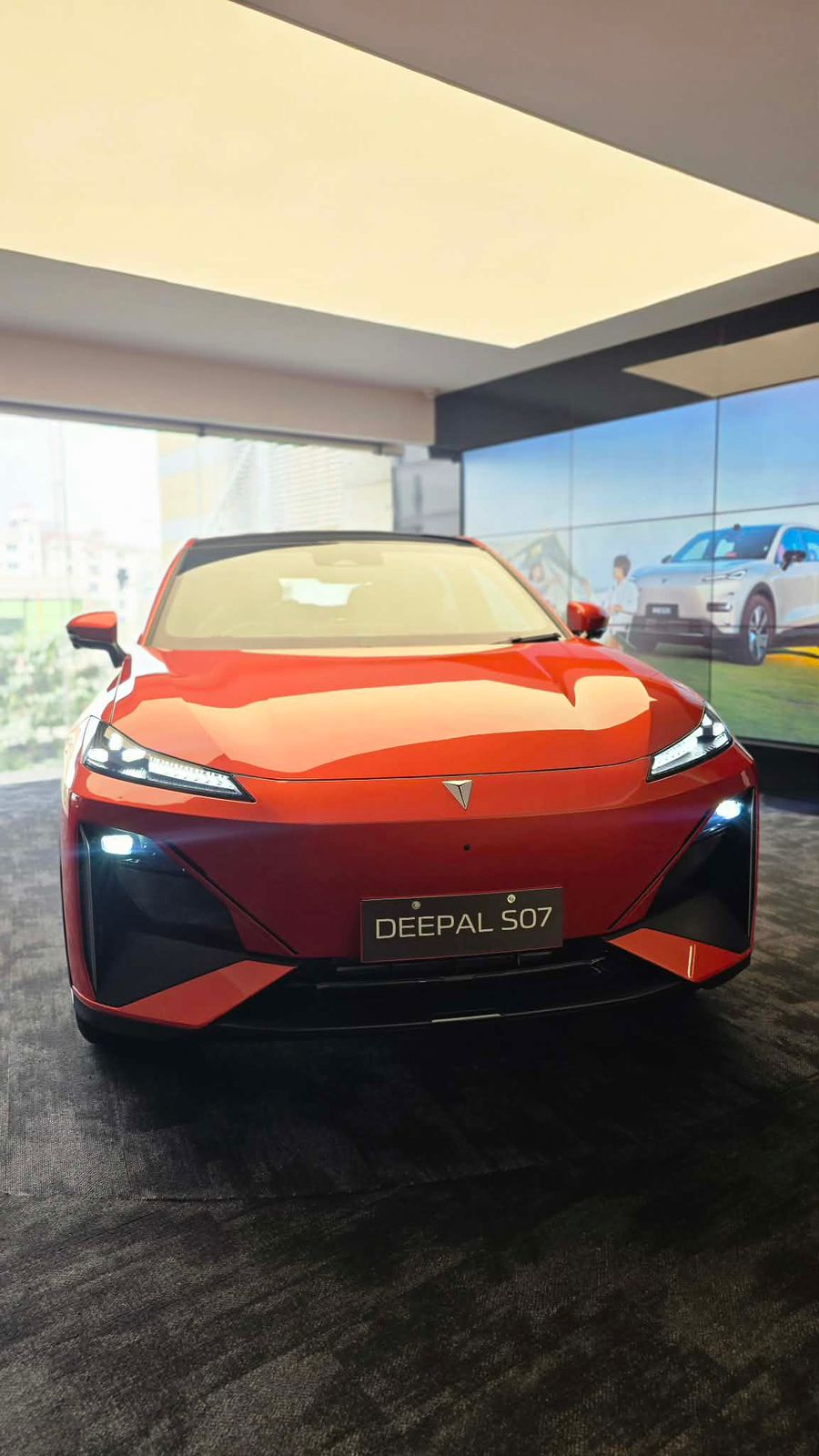 WhatsApp Image 2026-01-19 at 07.50.57.jpeg